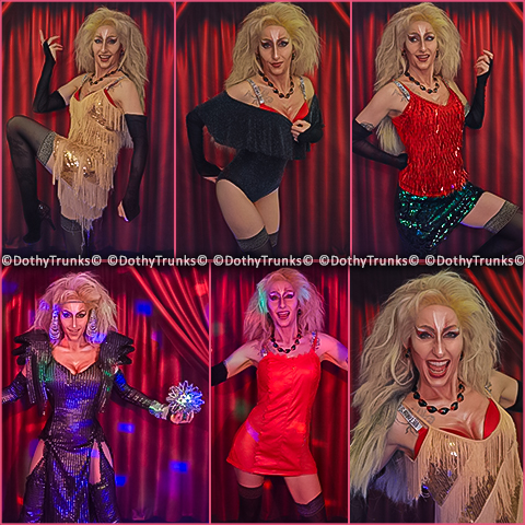 DothyTrunks cosplay Tina Turner shows drag queen panther rock hall fame music